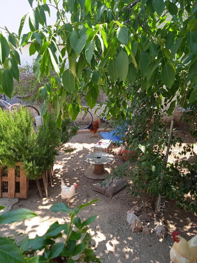 Ferienwohnung Το Μικρό Σπίτι Στη Φάρμα! Acharnes Exterior foto